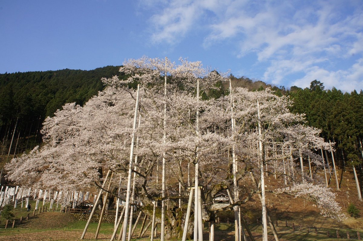 Usuzumi Park cover image