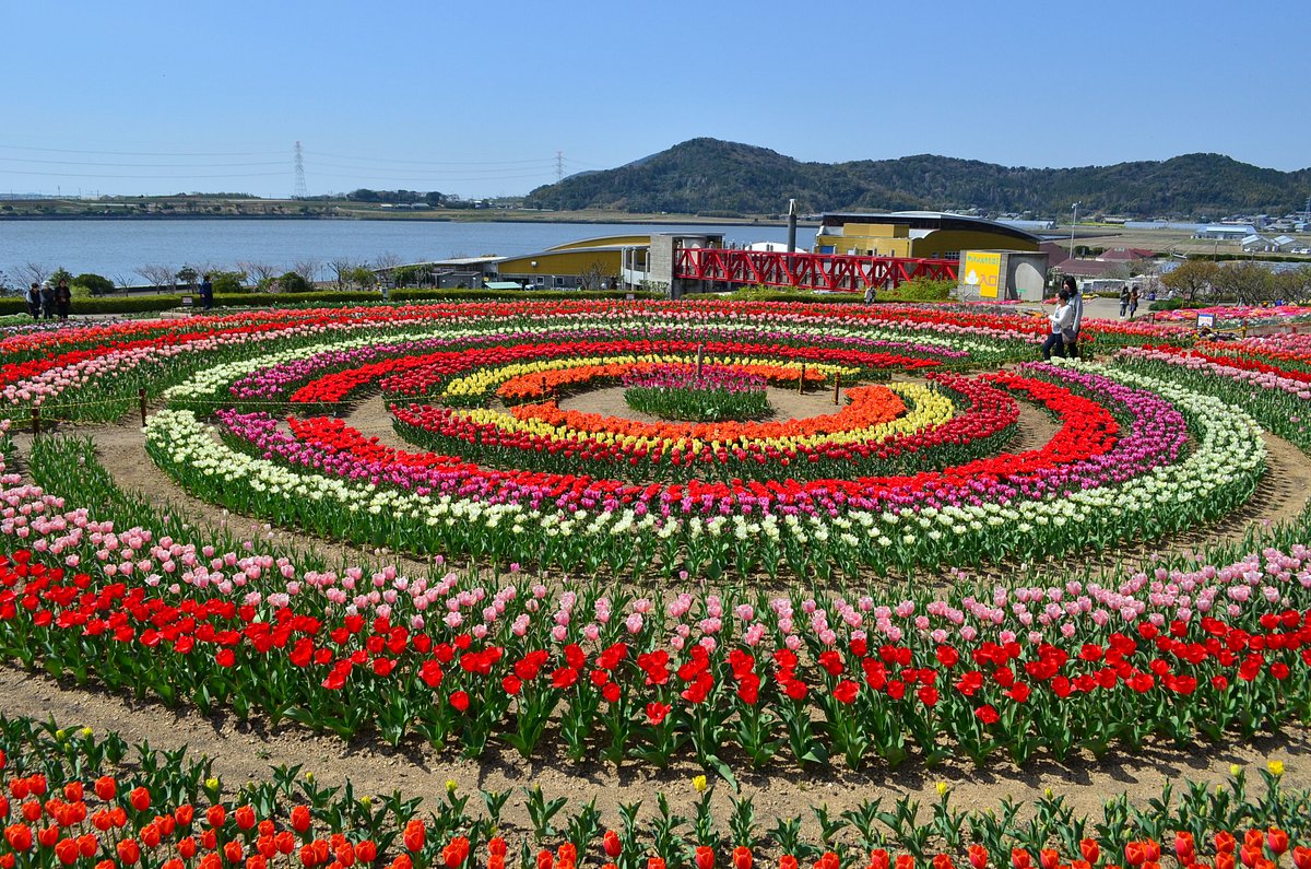 Sante Park Tahara cover image