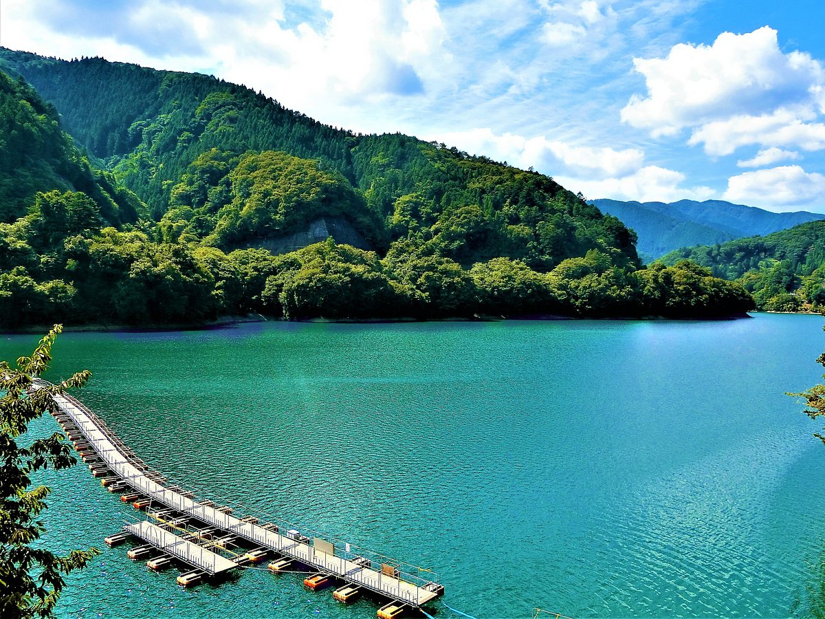 Mugiyama Floating Bridge cover image
