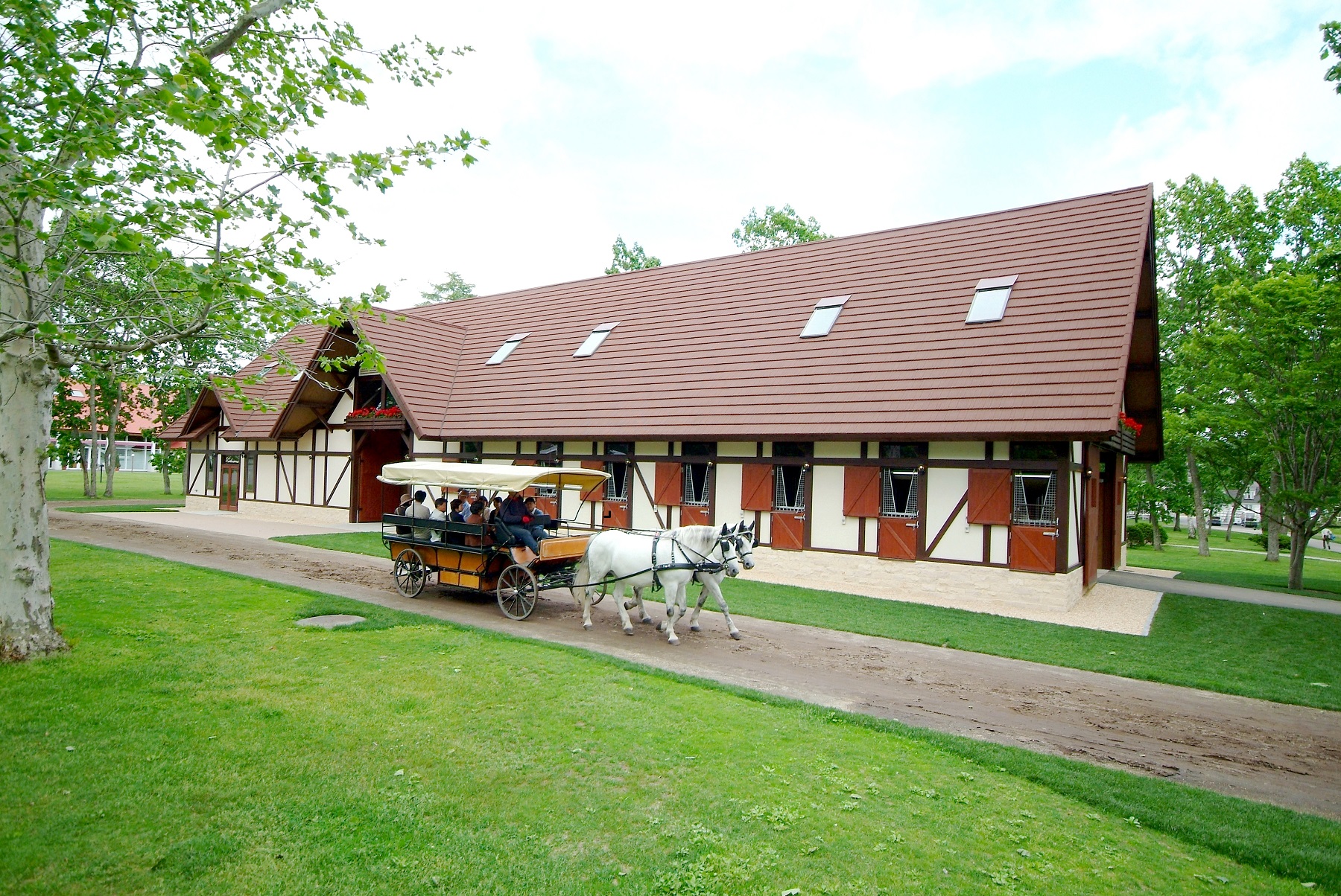 Northern Horse Park cover image