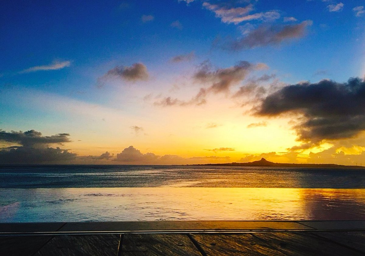 Bise no Fukugi Tree Road