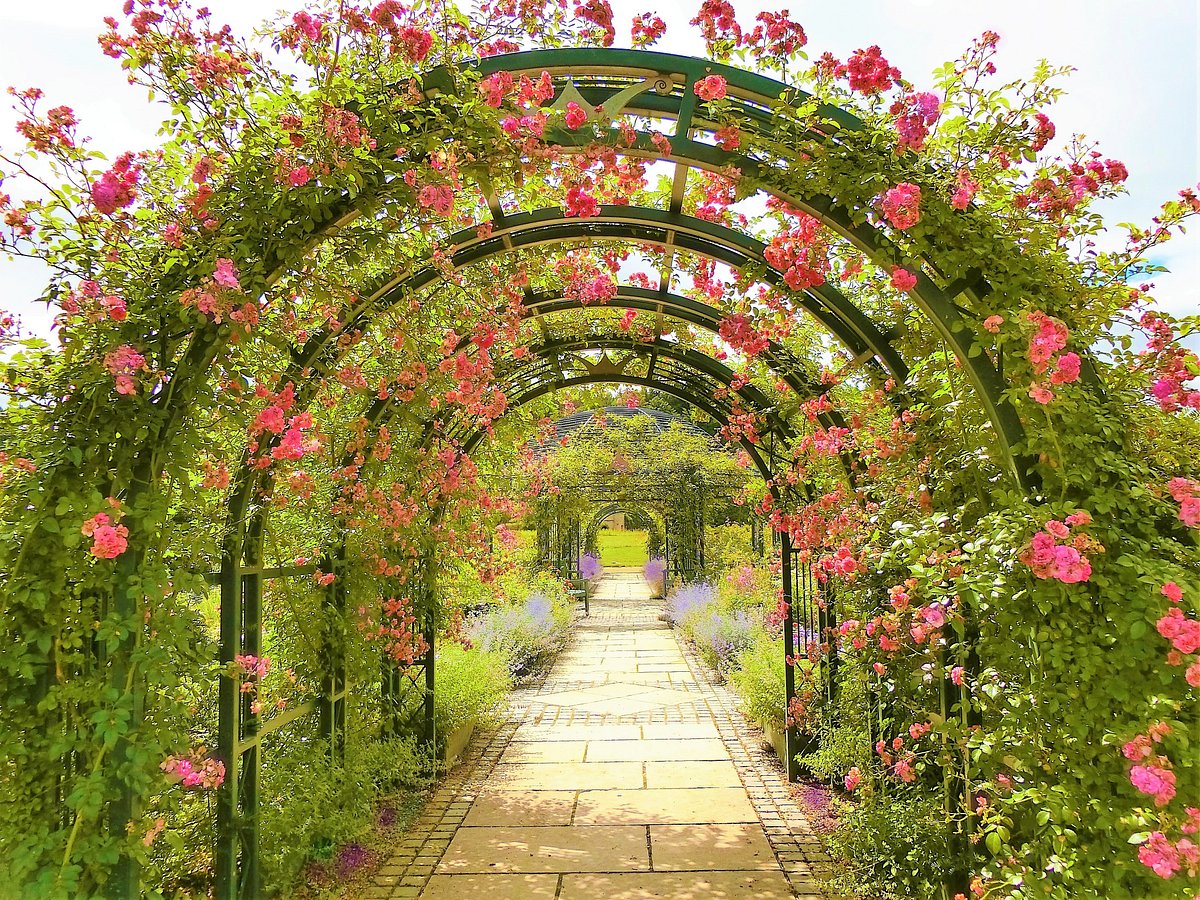 Ecorin Village cover image