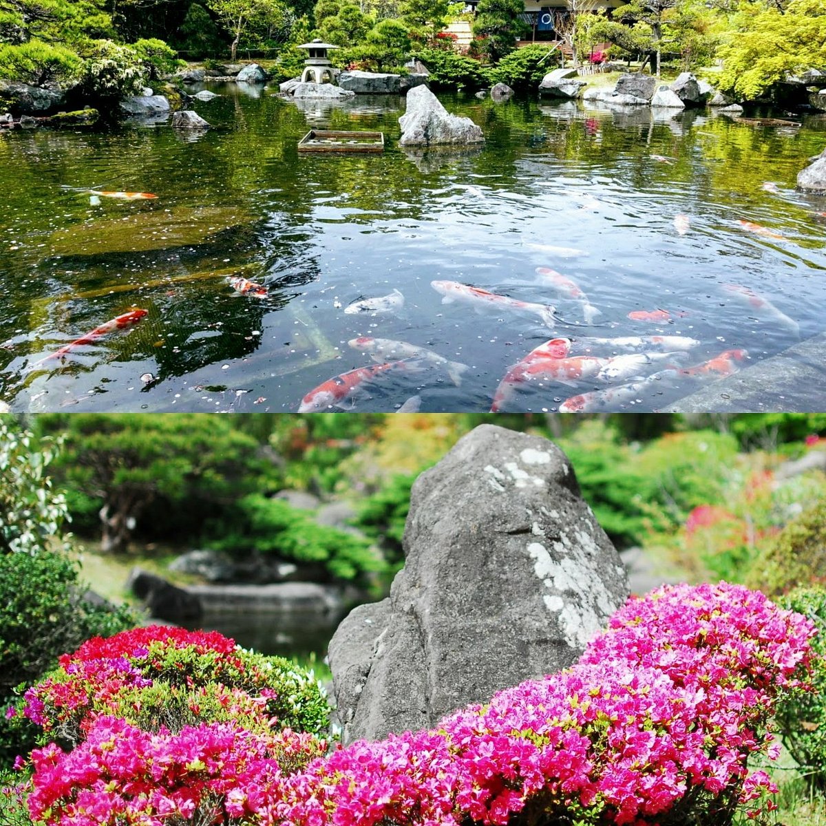 Hayama Shiosai Park cover image