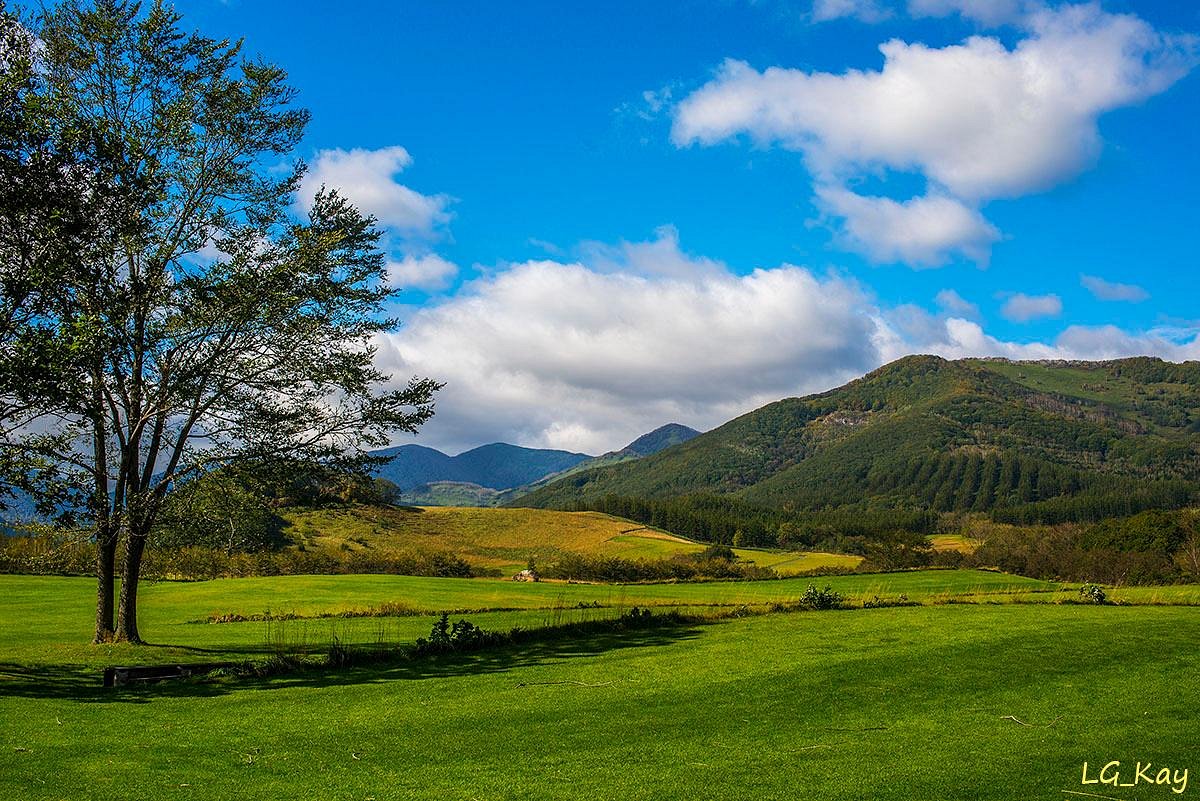 Tokachi Millenium Forest