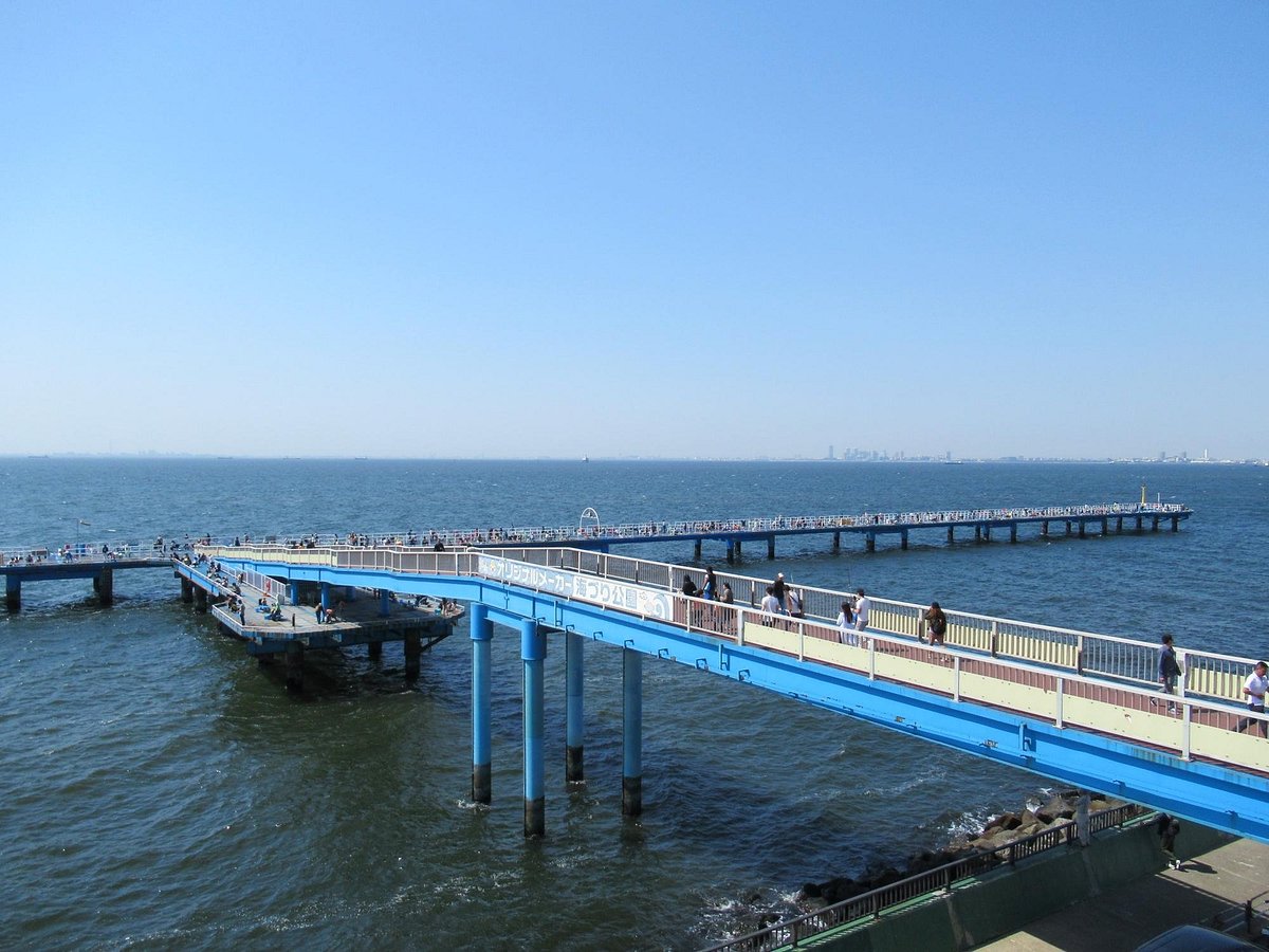 Ichihara Fishing Park cover image