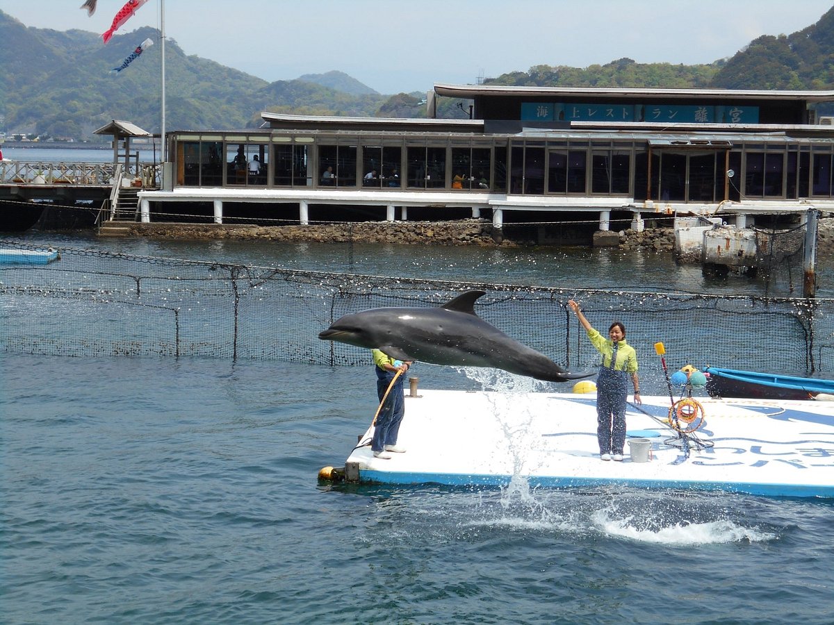 Awashima Marine Park cover image