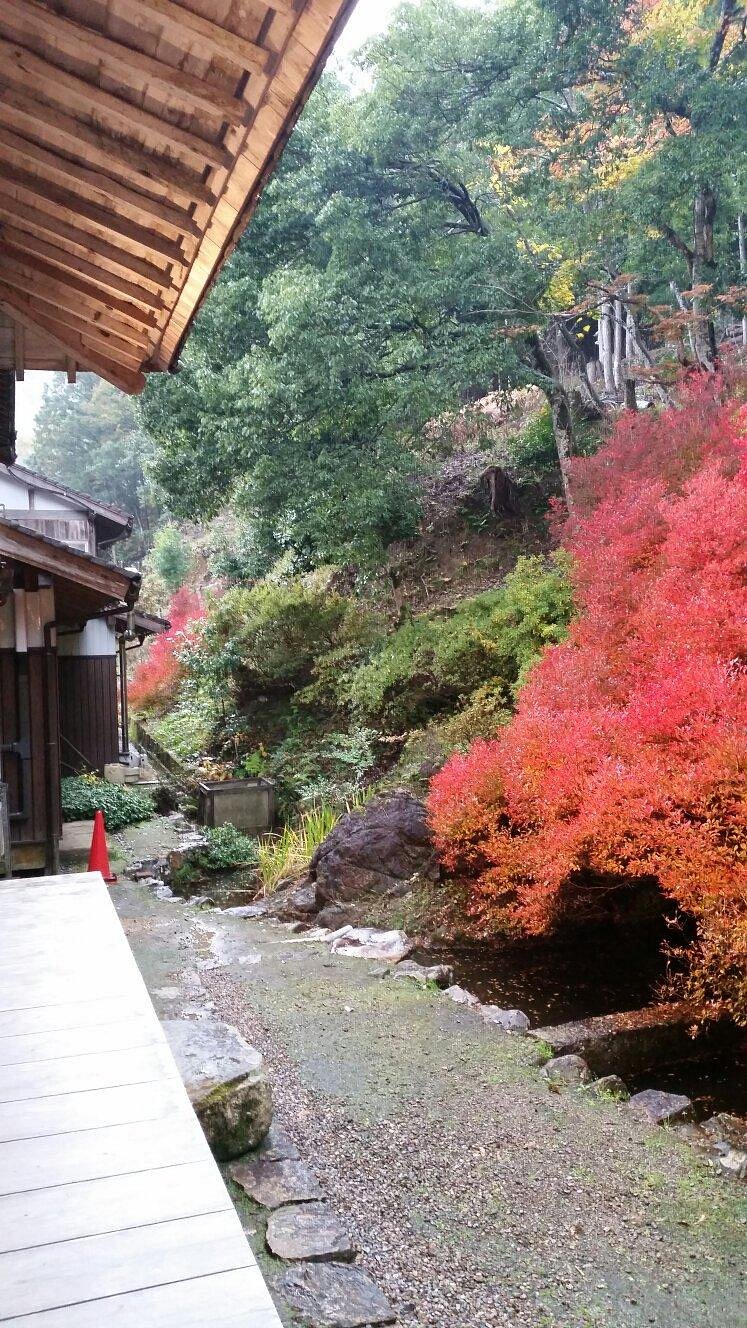 Ankokuji Temple cover image