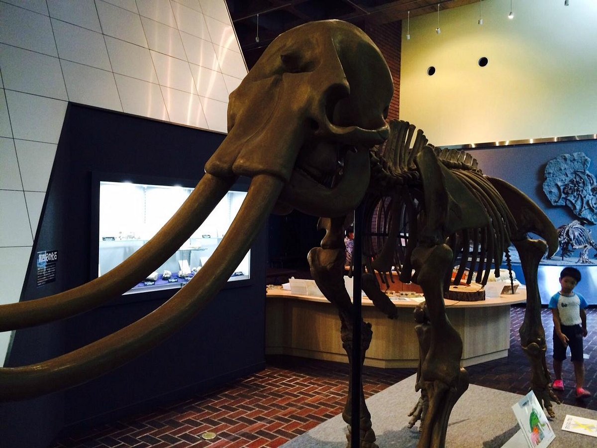 Saitama Museum of Natural History