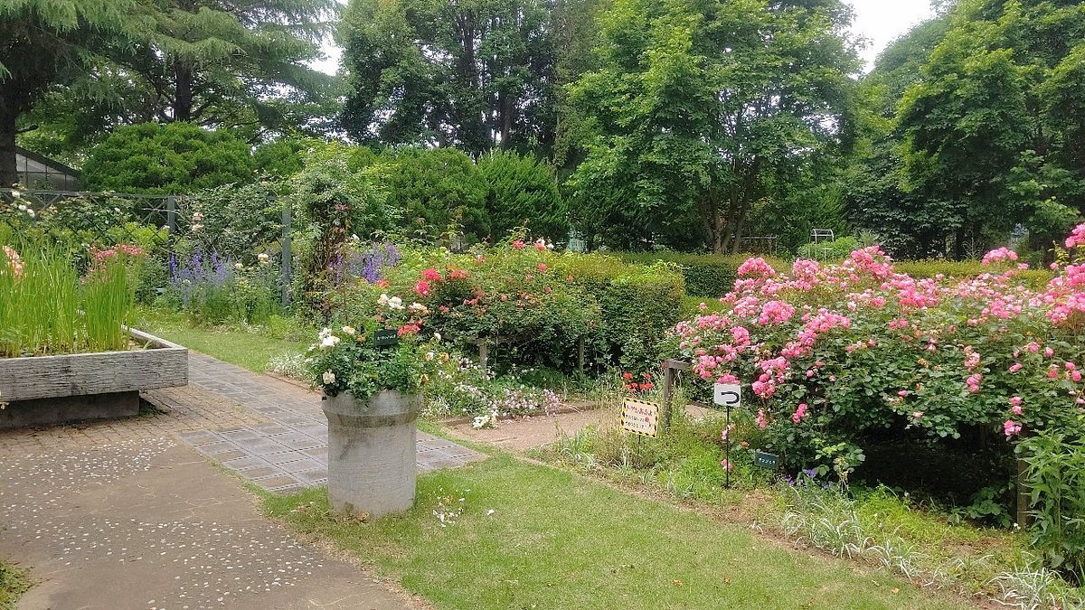 Fukaya Green Kingdom cover image