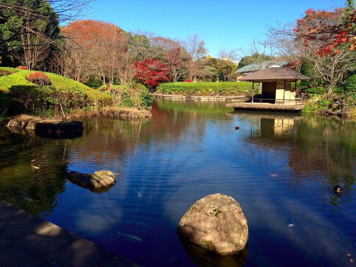 Chiba Kashiwanoha Park cover image