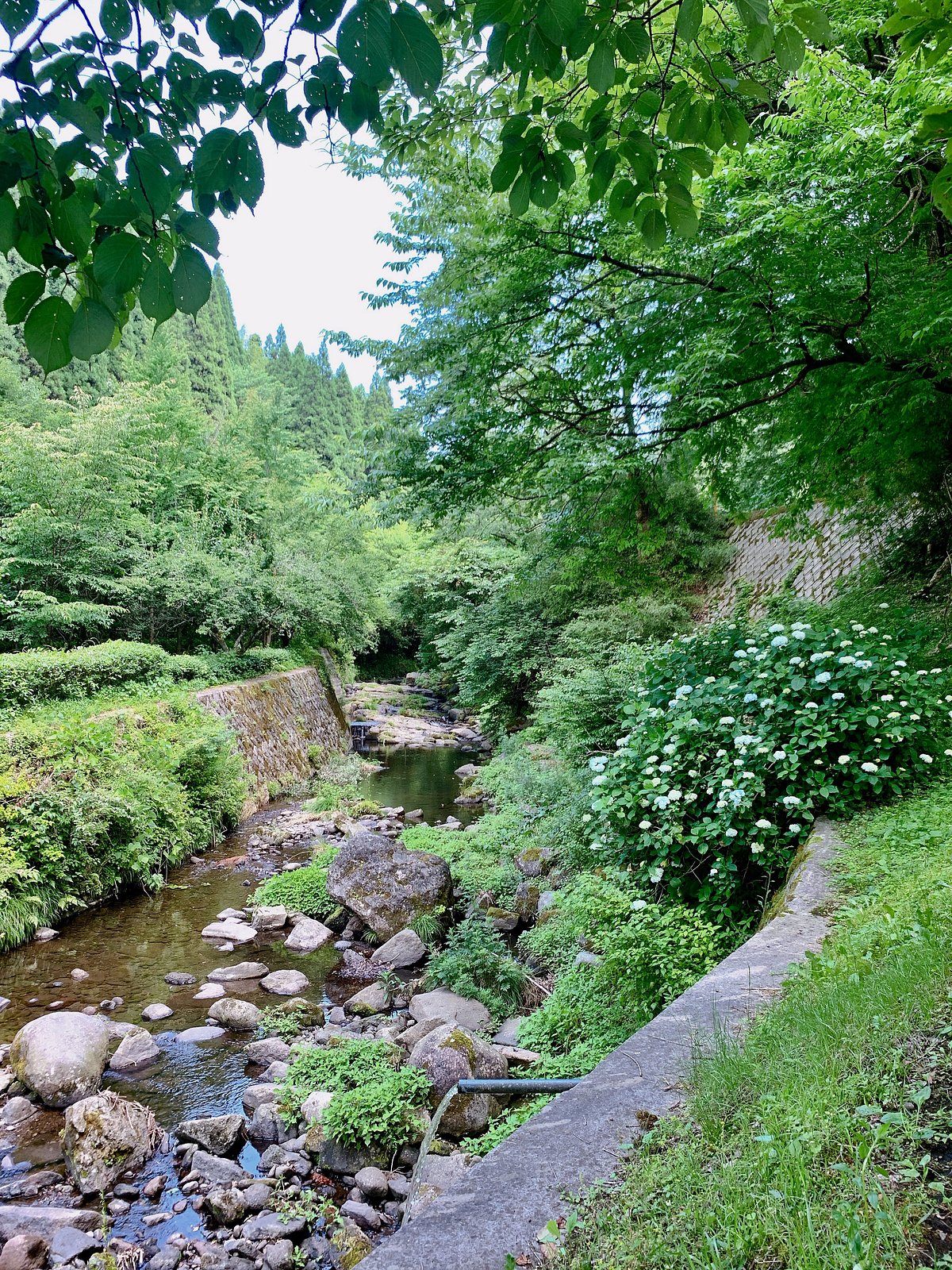 Tateiwa Suigen Park cover image