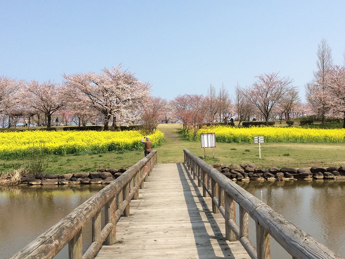 Uwasekigata Park cover image