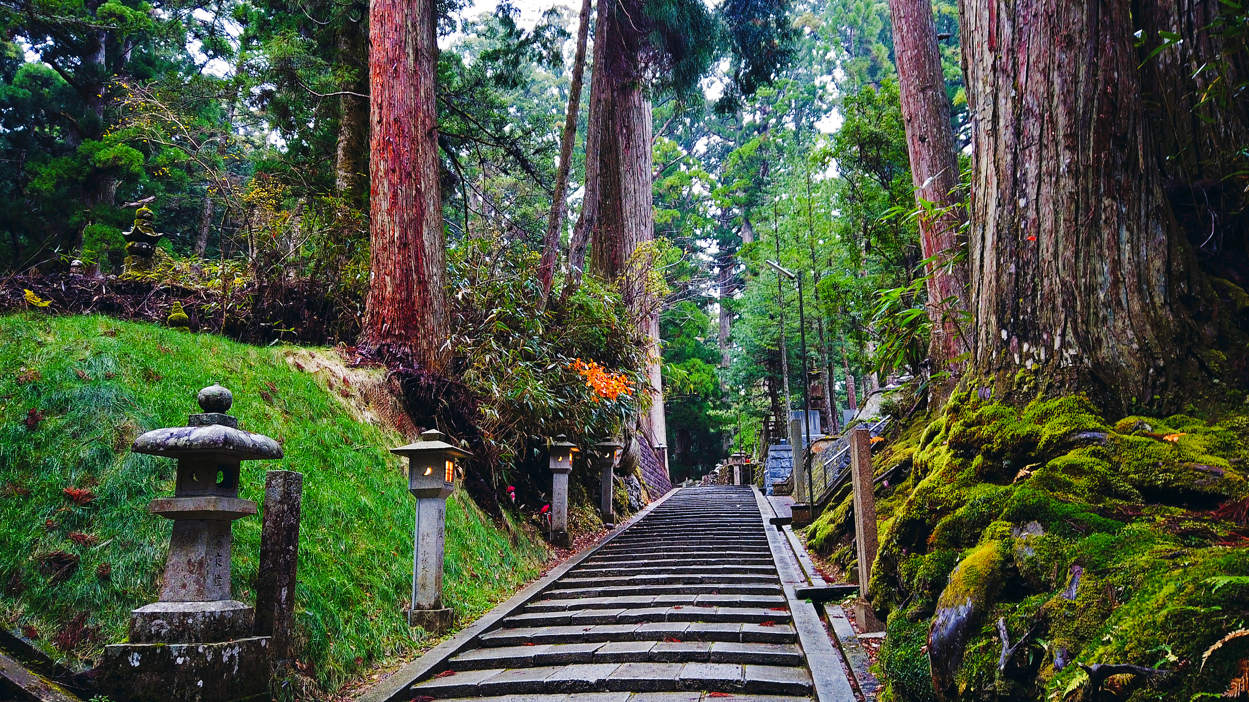 Kongobu-ji Okuno-in cover image