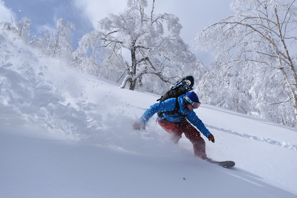 Sahoro Resort Ski Area cover image