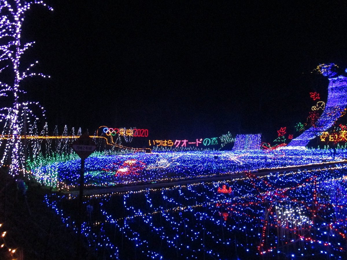 Ichihara Quard's Forest cover image