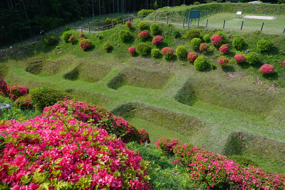 Yamanaka Castle Remains Park cover image