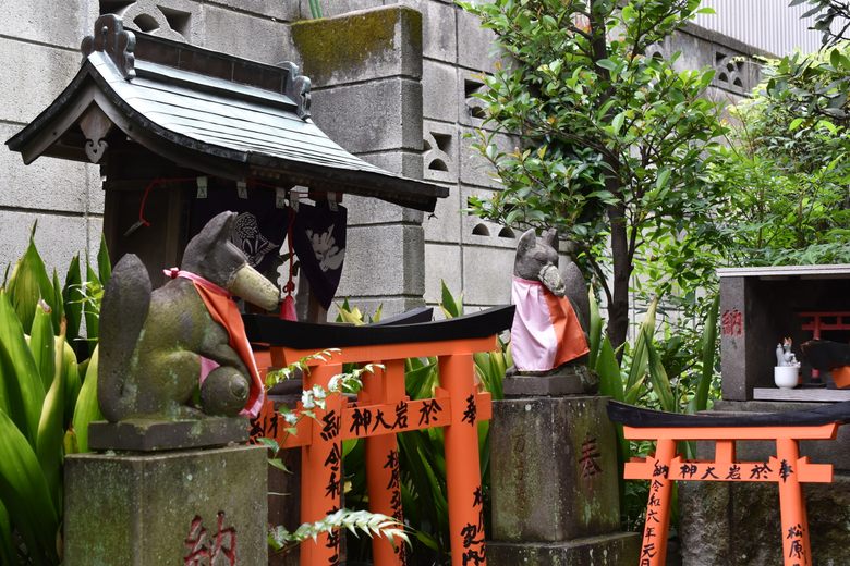 Oiwa Inari Shrines cover image