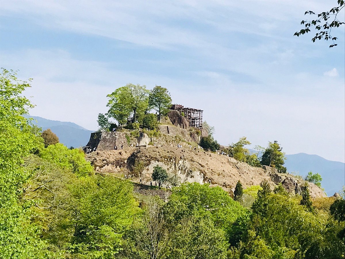 Naegi Castle Ruins cover image