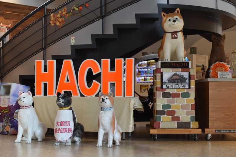 Akita Dog Visitor Center