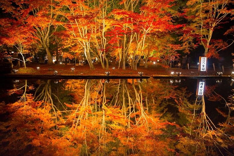 Sogi Park cover image