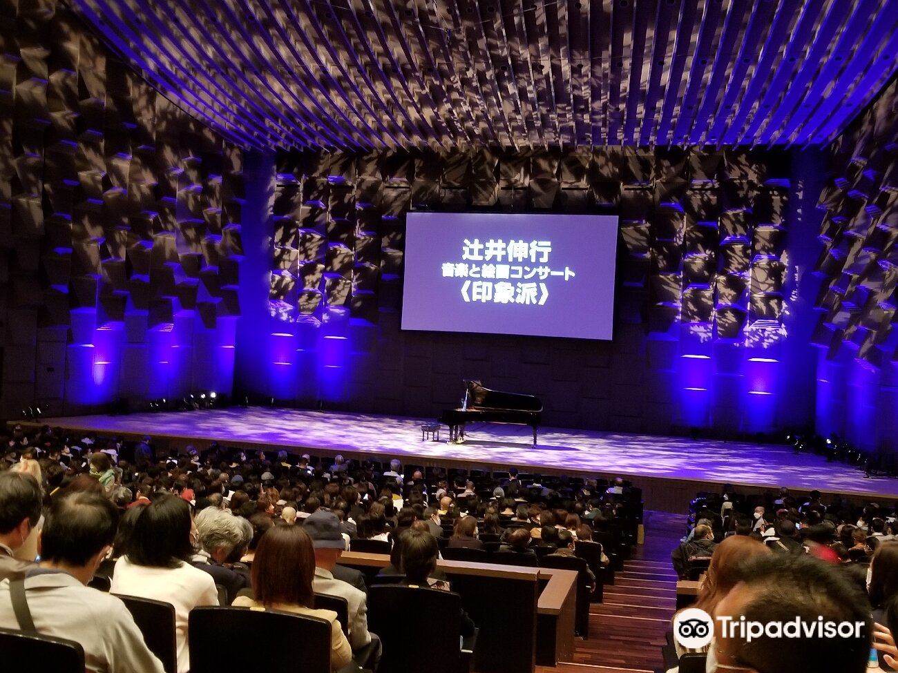 Festival Hall cover image