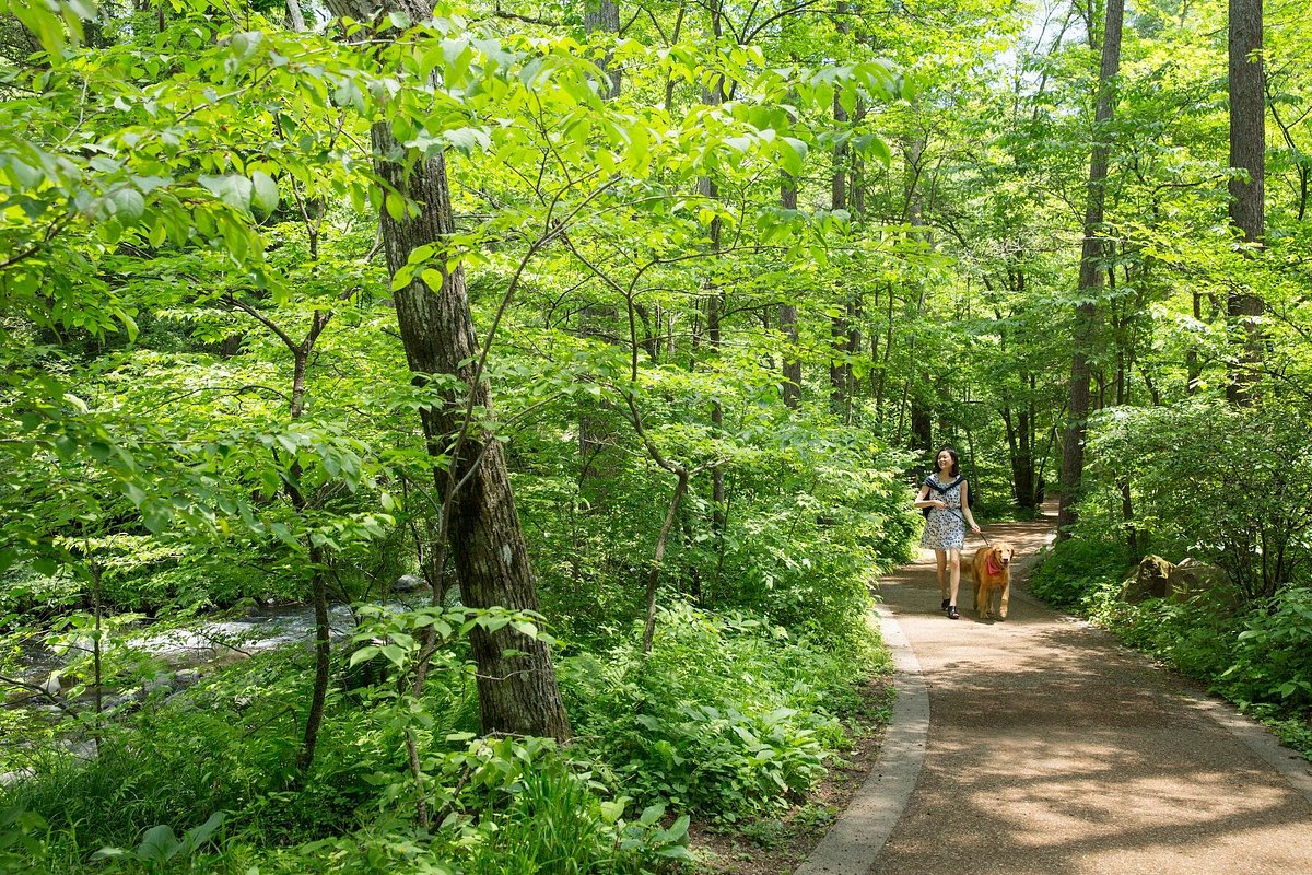Karuizawa Hoshino Area