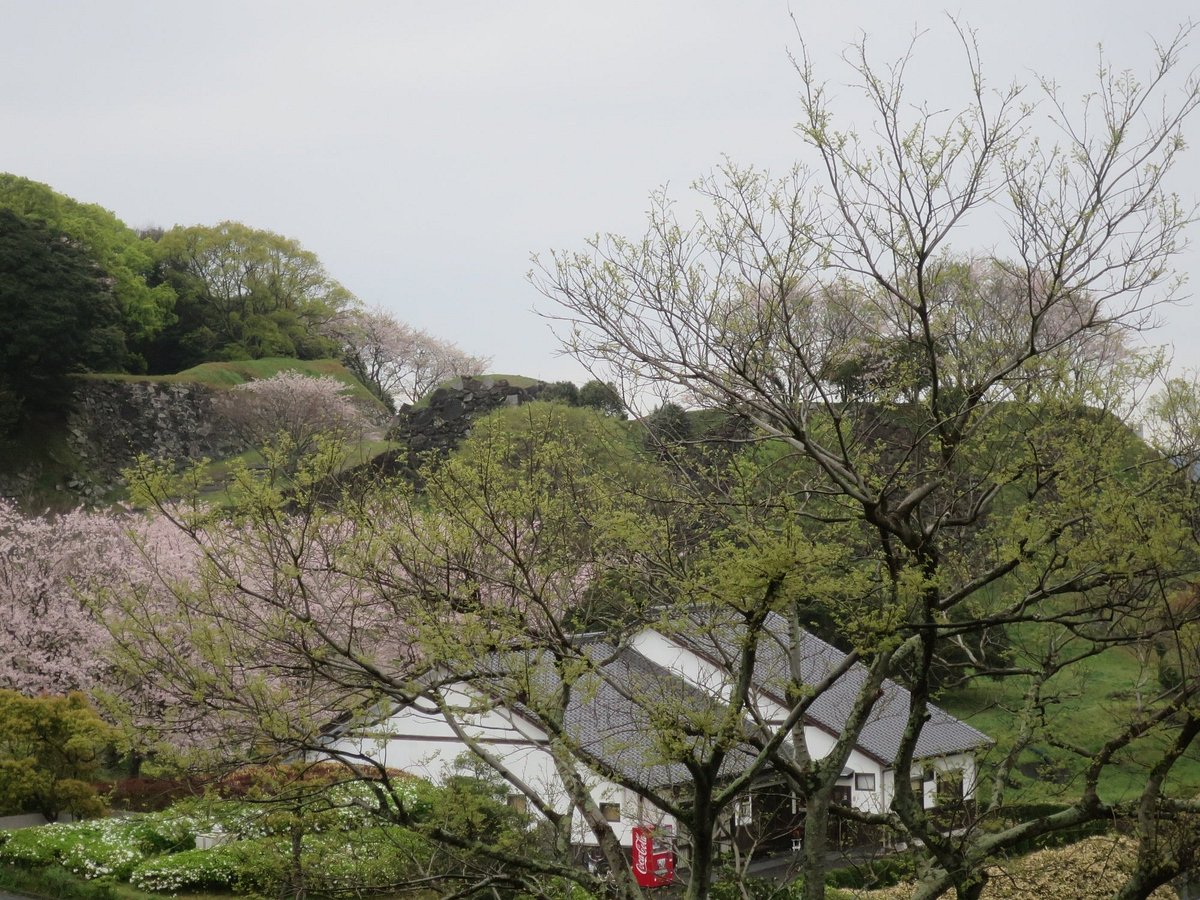 Nagoya Castle Ruins cover image