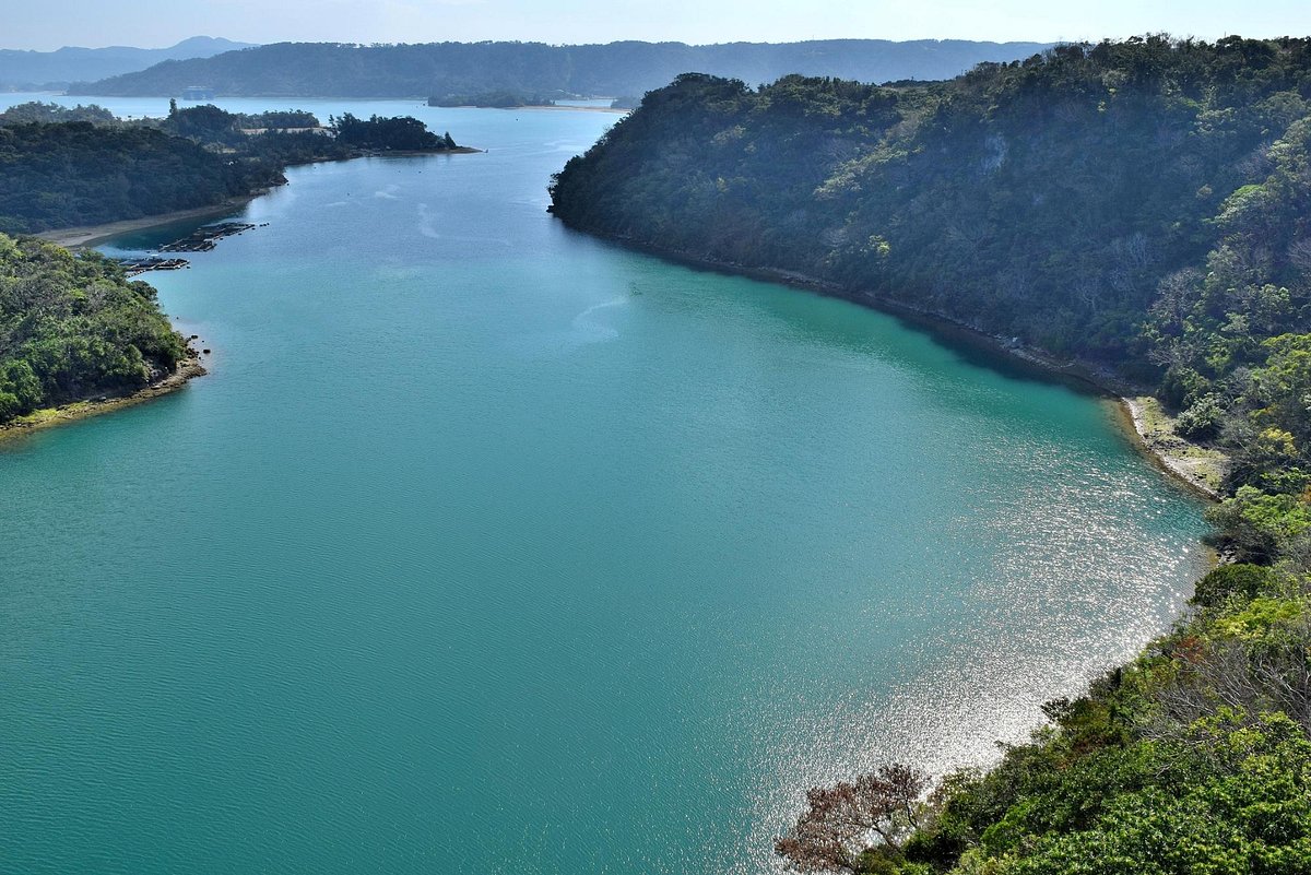 Warumi Ohashi cover image