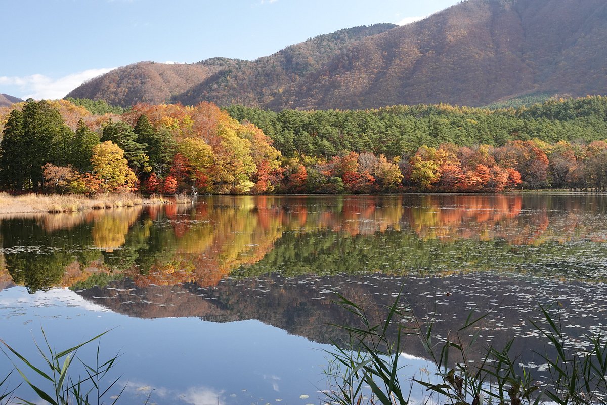 Kannonnuma Forest Park cover image