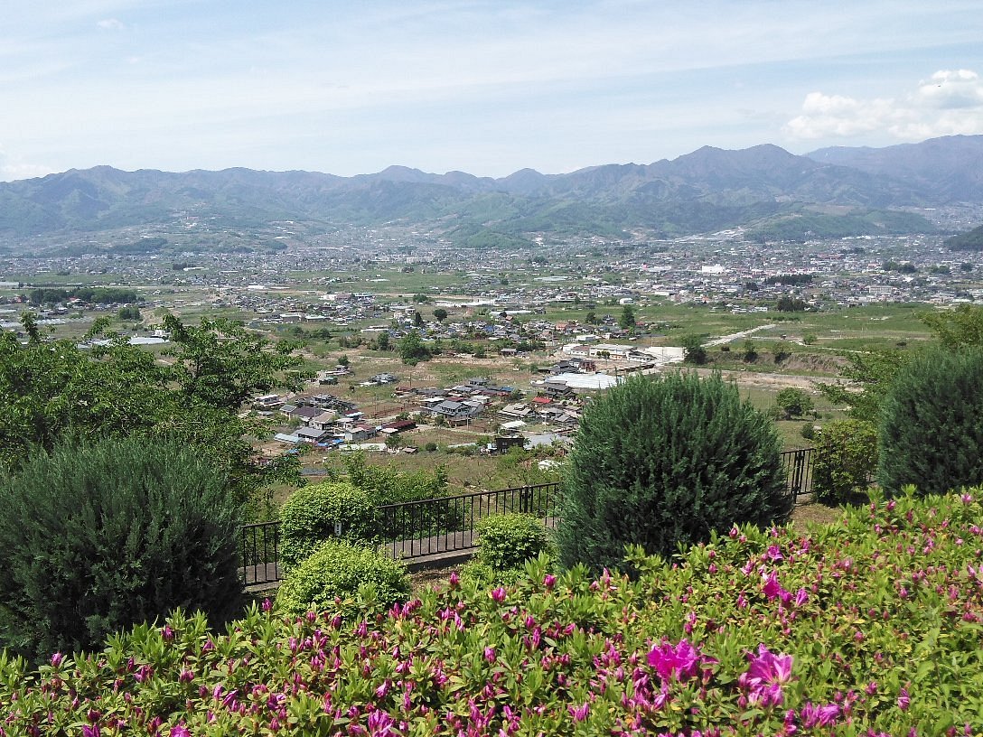 Budonooka Wine Strage