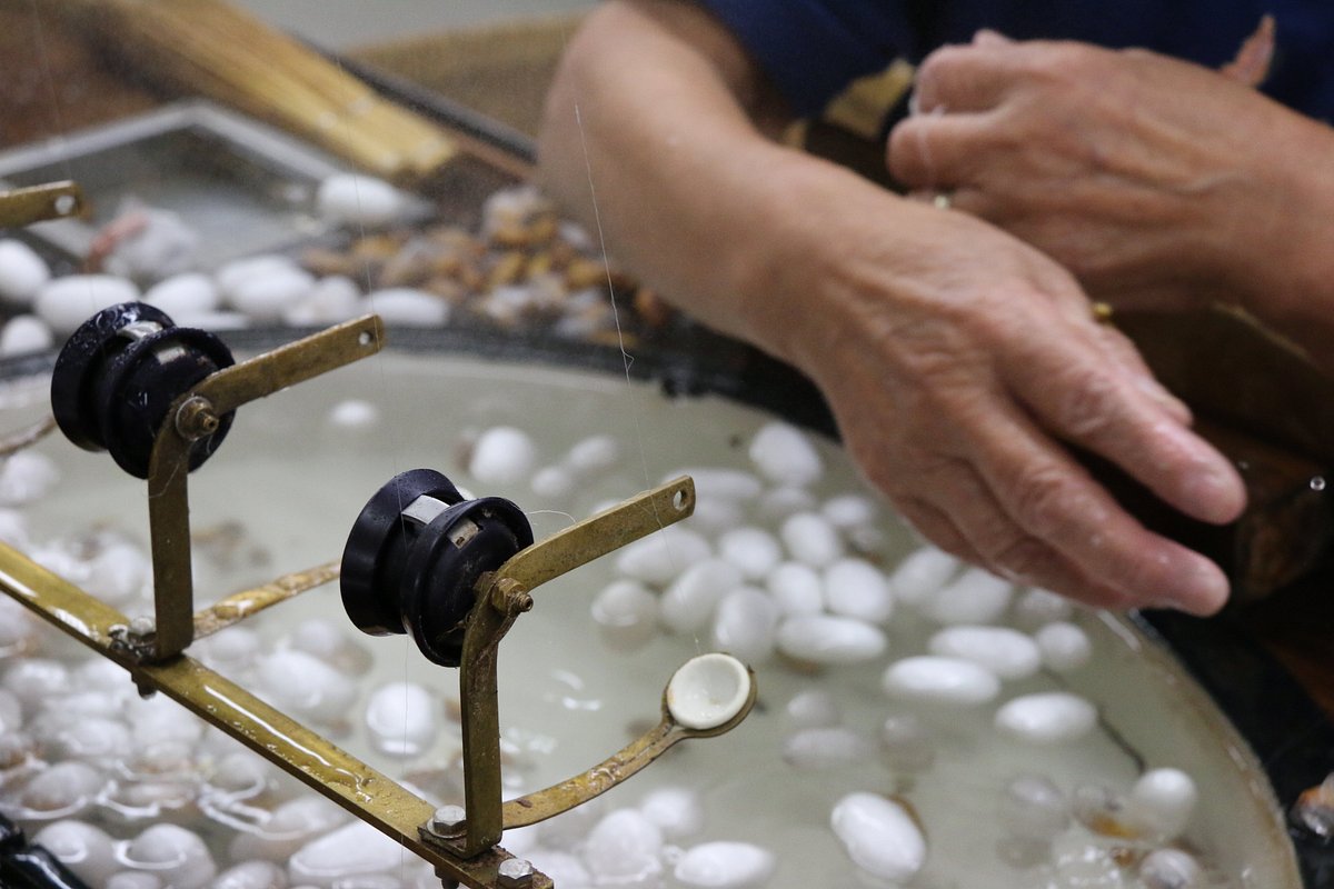 Okaya Silk Museum cover image