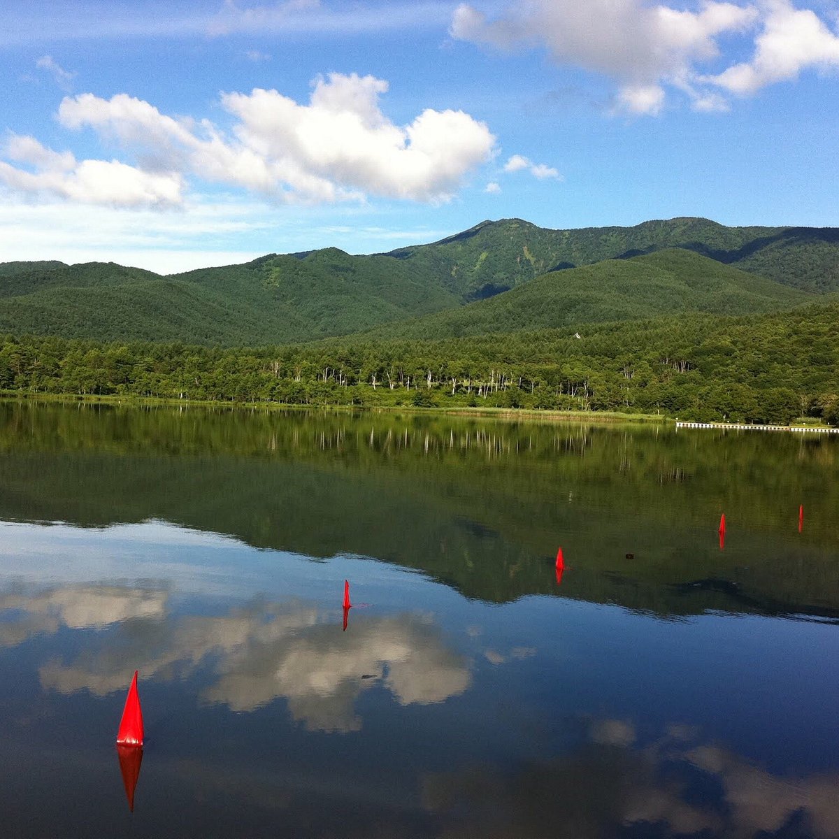 Tsumagoi Farm Aisai Bell cover image