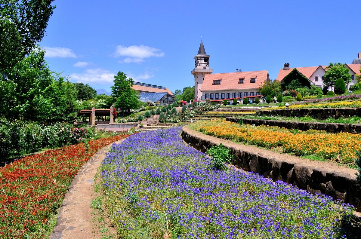 Heidi’s Village cover image