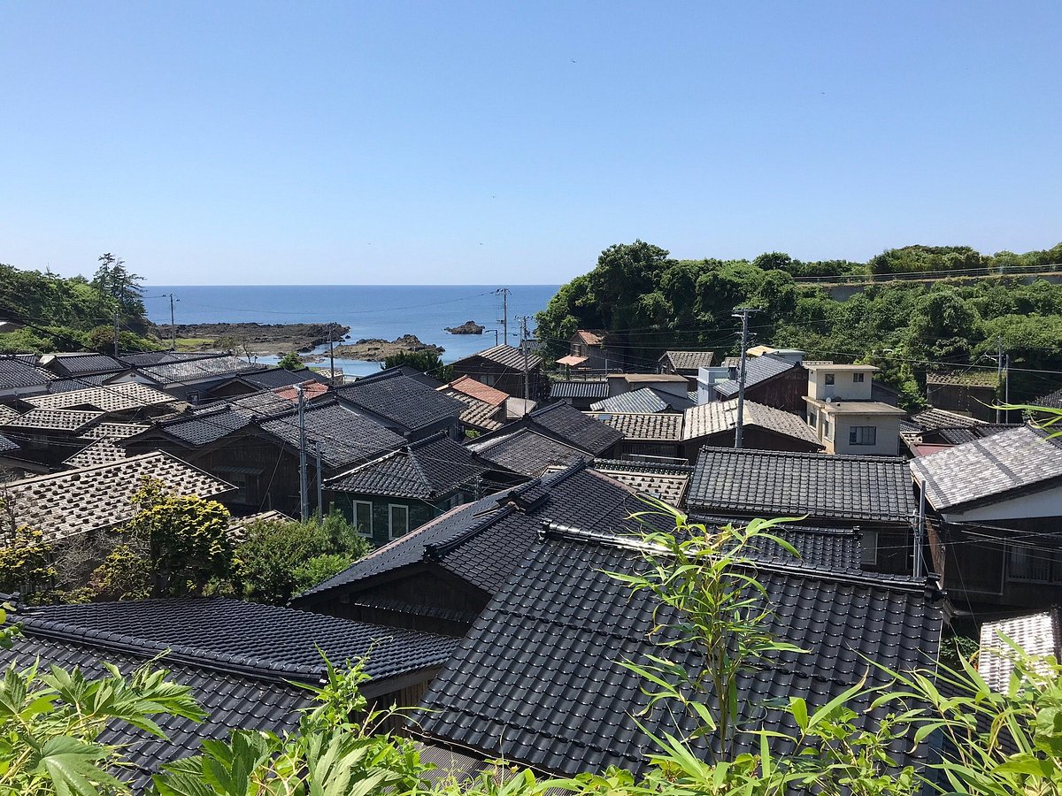 Shukunegi cover image