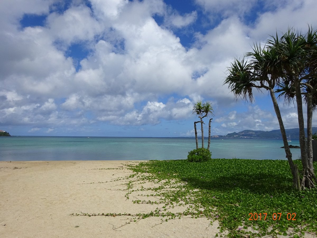 21st Century Forest Park cover image