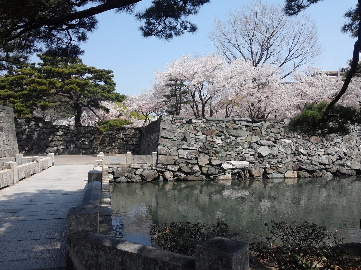 Tokushima Chuo Park cover image