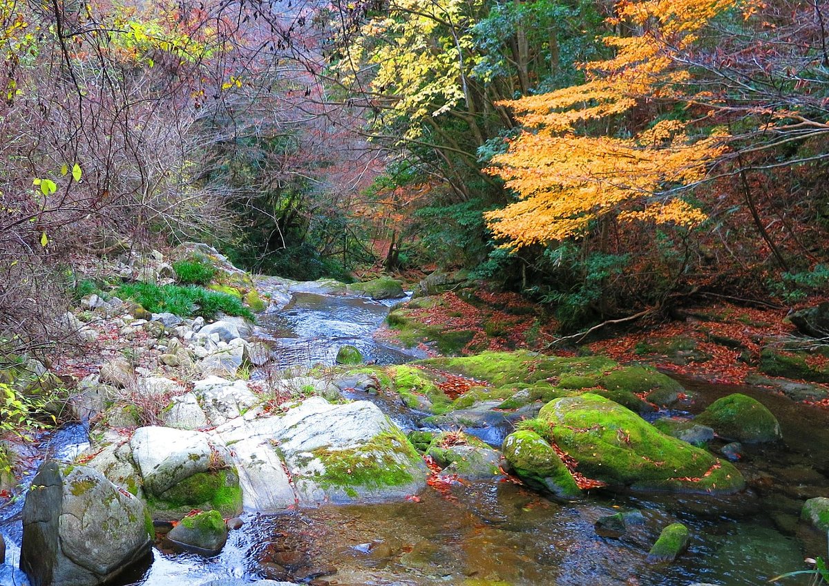 Hananuki Valley cover image