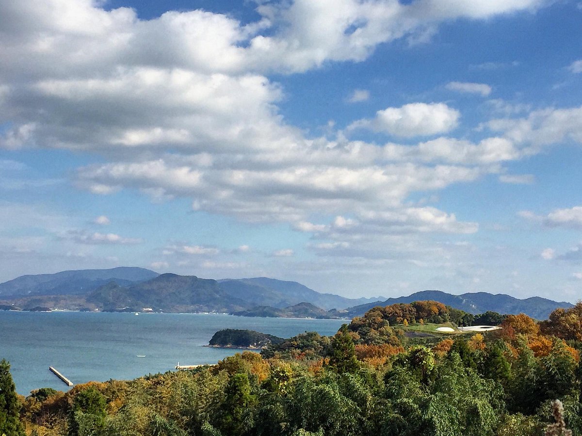 Teshima Art Museum cover image