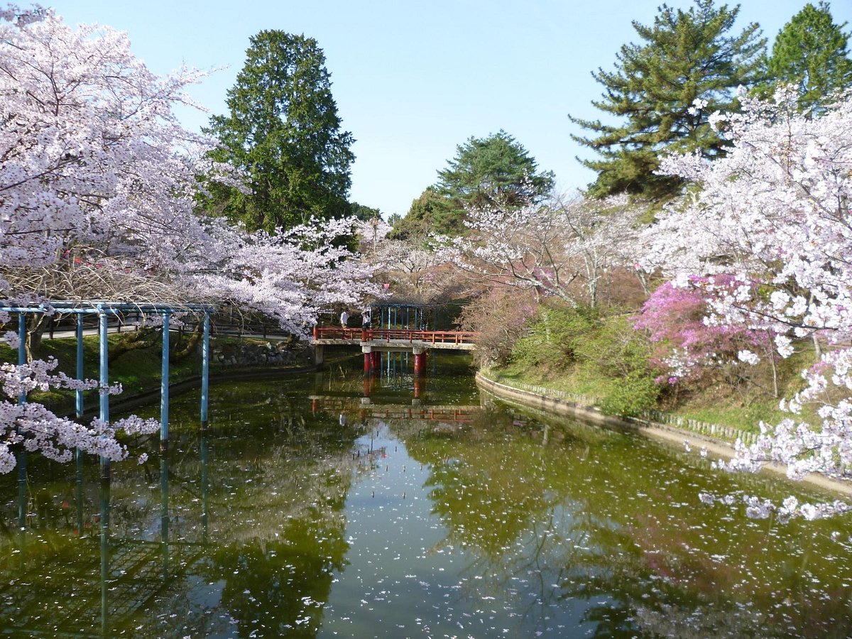 Tsu Kairaku Park cover image