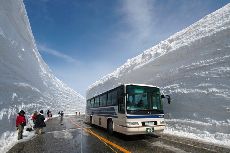 Snow Canyon cover image