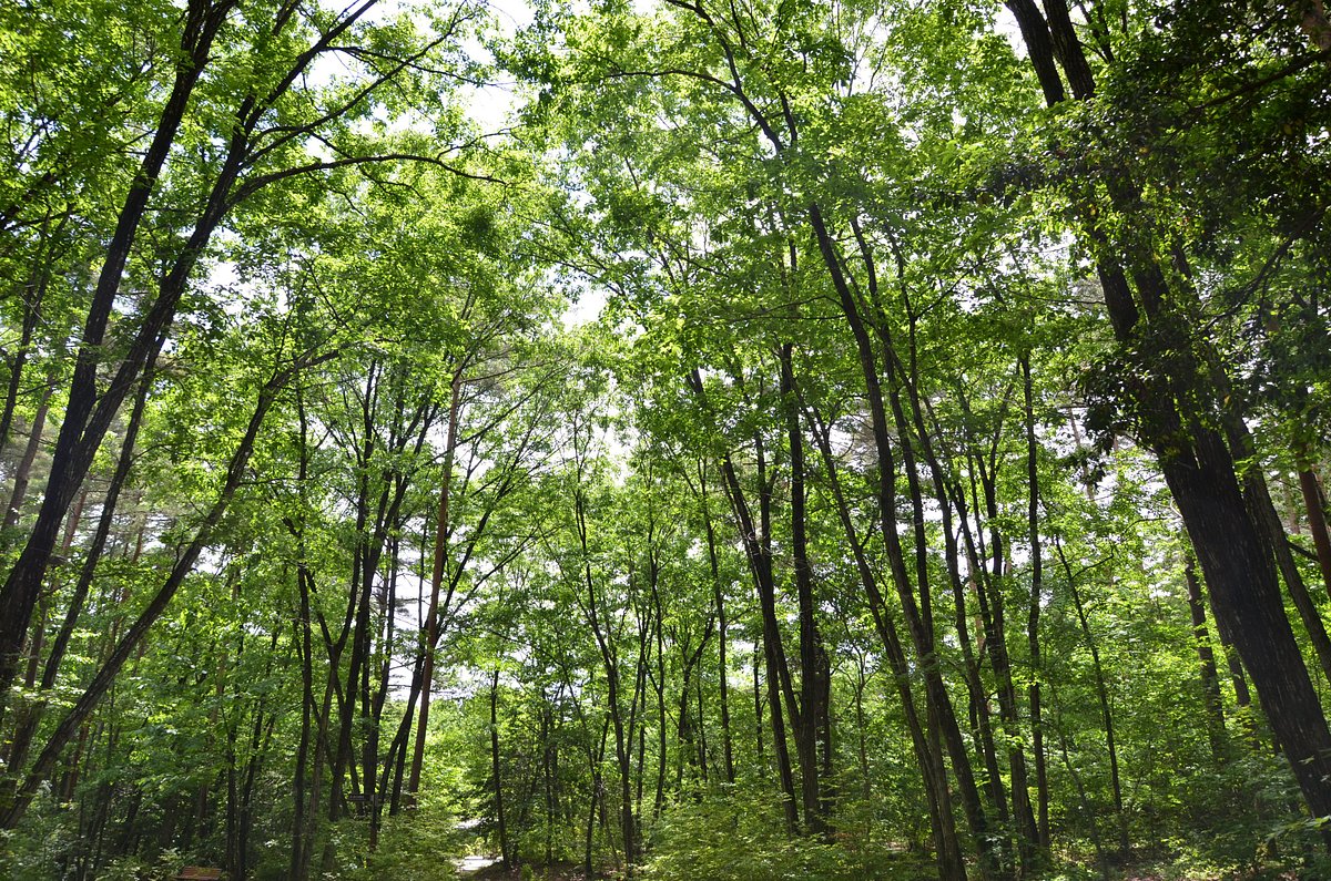 Alps Azumino National Government Park Omachi/Matsukawa cover image