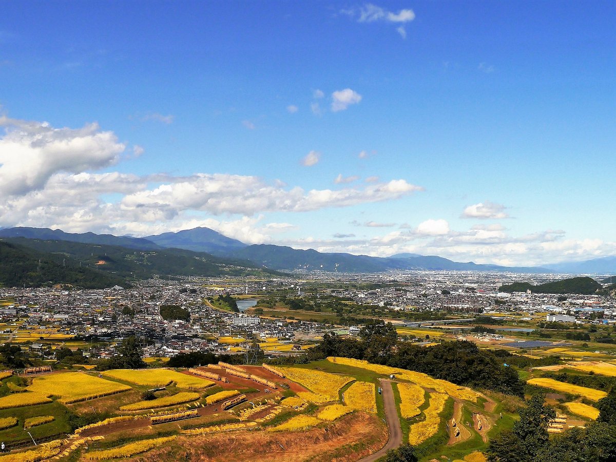 Obasute tanada (Terraced rice fields) cover image