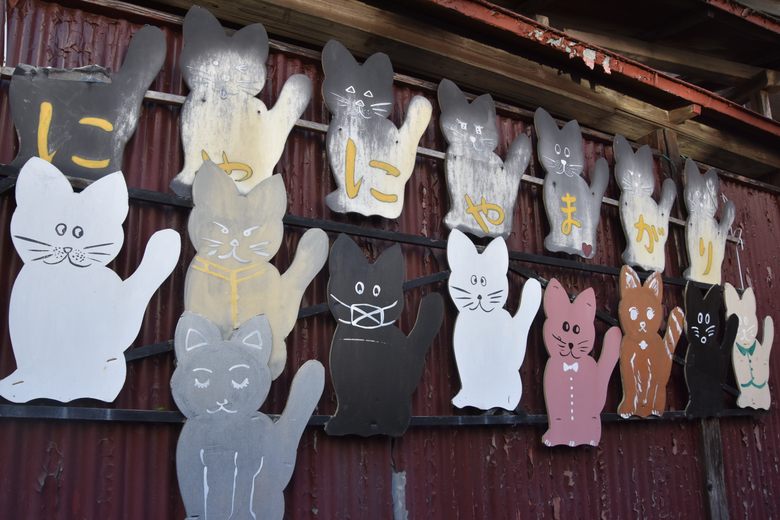 Nyanya Magari Cat Alley