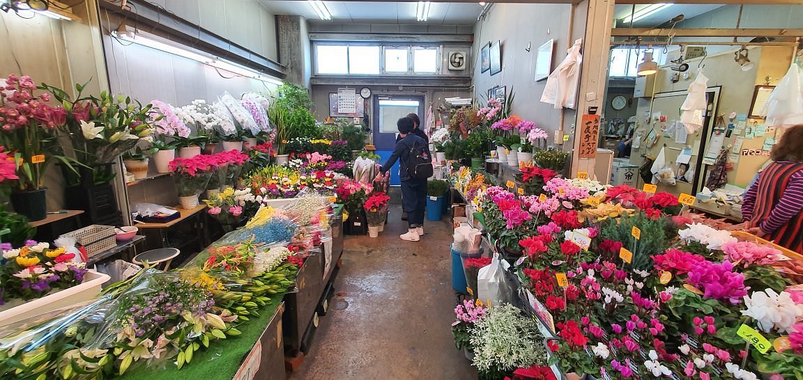 Izumisano Outdoor Market cover image