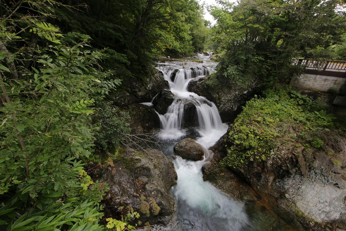 Sangaitaki Park cover image