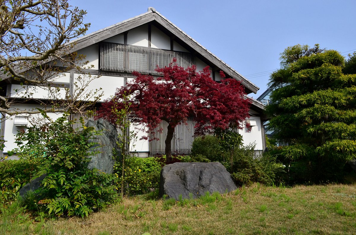 Gurinpia Makinohara cover image