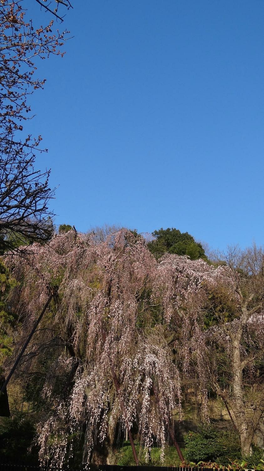 Tsurumaki West Park cover image