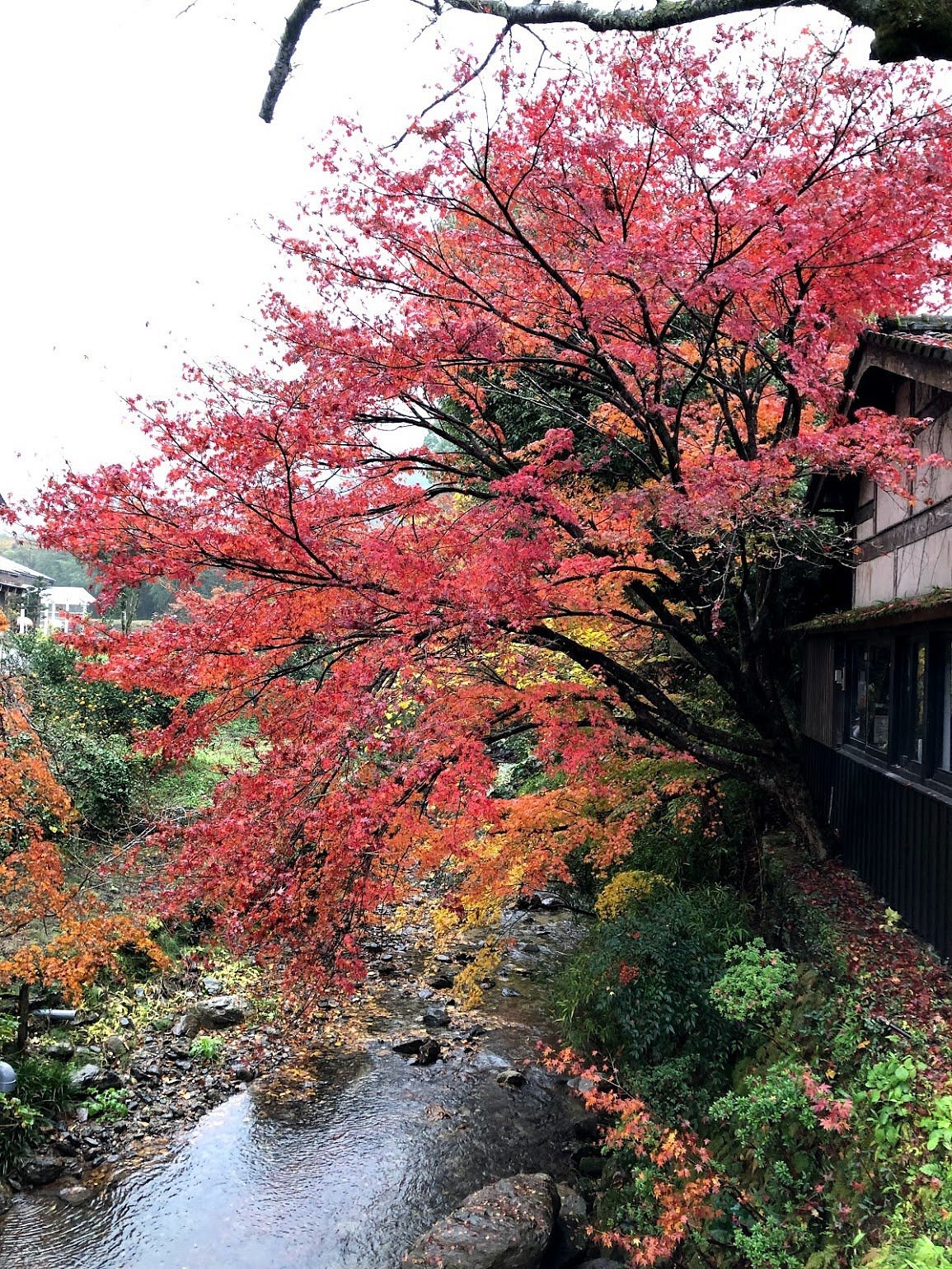 Akizuki Castle Remains cover image