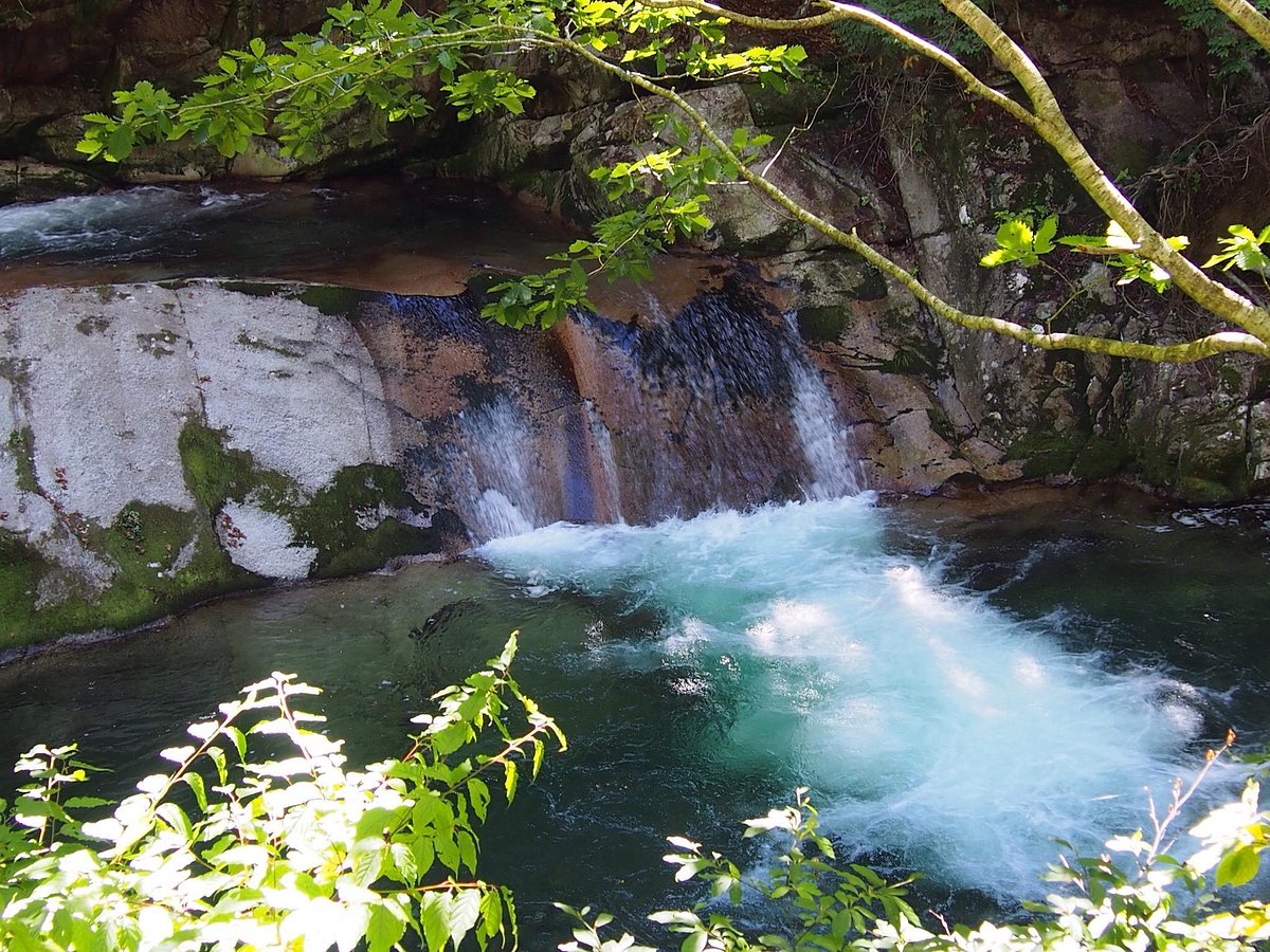 Teriha Valley cover image