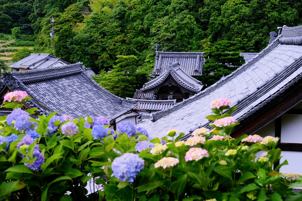 Yokokuji Temple cover image